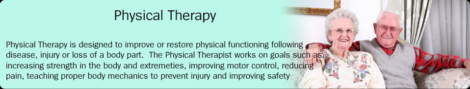 Physical Therapy:  Physical Therapy is designed to improve or restore physical functioning following disease, injury or loss of a body part.  The Physical Therapist works on goals such as increasing strength in the body and extremeties, improving motor control, reducing pain, teaching proper body mechanics to prevent injury and improving safety awareness.